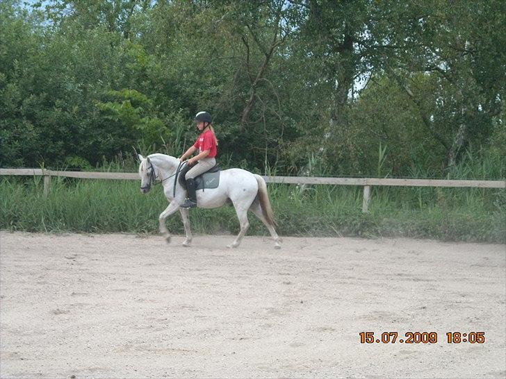 Anden særlig race Oliver<3 SOLGT:'/ - (5)
fordi du var min øjesten!<3
FoTo: mor billede 5