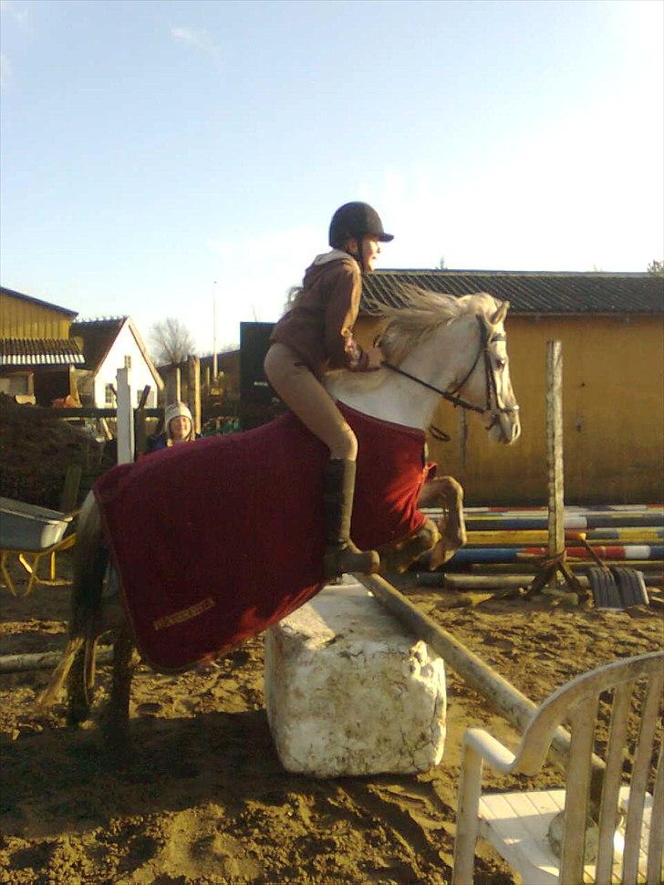 Anden særlig race Oliver<3 SOLGT:'/ - (8)
fordi du lærte mig SÅ meget!
Foto: Maria billede 8