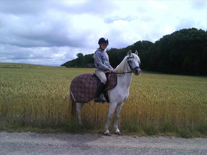 Anden særlig race Oliver<3 SOLGT:'/ - (10)
et billede kan sige mere end 1000 ord! :')
Foto: Sissel billede 10
