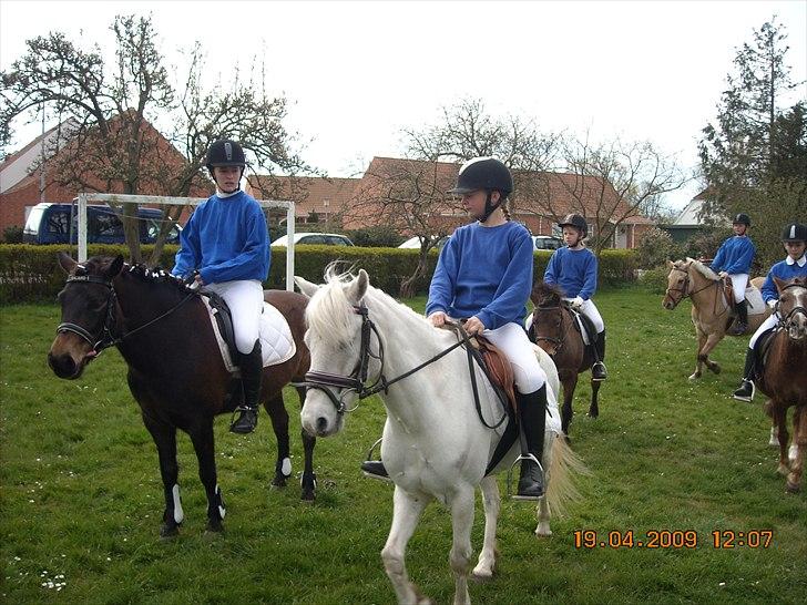 Anden særlig race Oliver<3 SOLGT:'/ - (11)
fordi jeg savner at side på dig, føle dig, røre dig, og mest af alt, have dig!<3
Foto: Mor billede 11