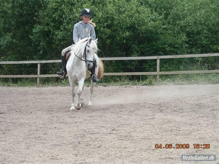 Anden særlig race Oliver<3 SOLGT:'/ - (12)
vi kæmpede og kæmpede, og da det endelig lykkedes mig at få dig til at gå OK lev du taget fra mig:'/ savner dig fjolle!<3
Foto: Mor billede 12