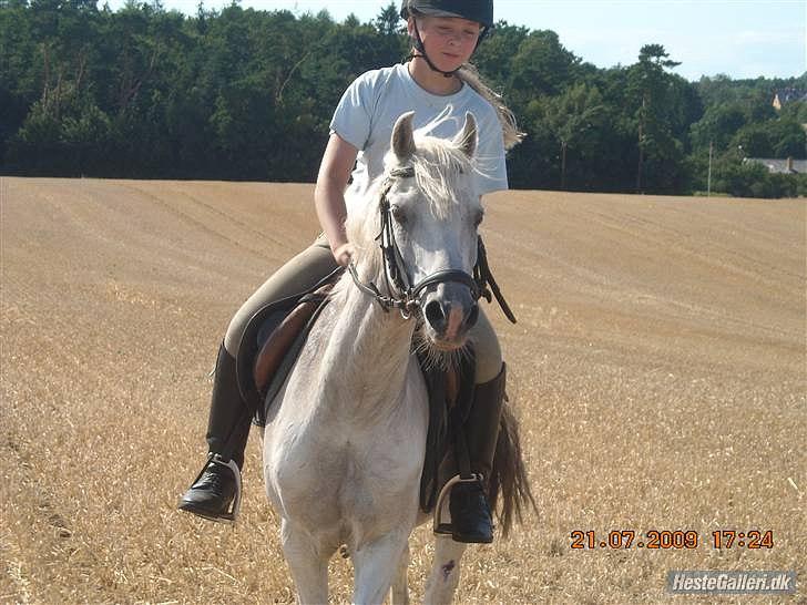 Anden særlig race Oliver<3 SOLGT:'/ - (14)
fordi vi altid hyggede os!:')
Foto: Mor billede 14