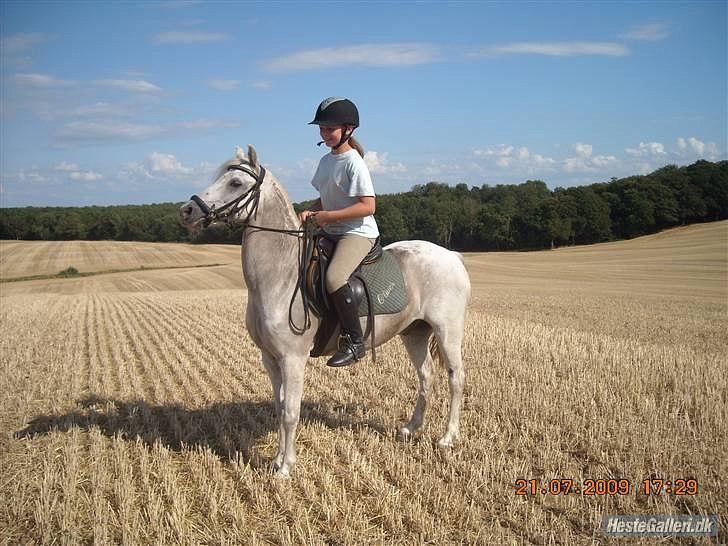 Anden særlig race Oliver<3 SOLGT:'/ - (15)
oliver du er den pony alle drømmer om! jeg ville ønske jeg kunne spole tiden tilbage!:*
Foto: Mor billede 15