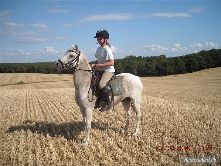 Anden særlig race Oliver<3 SOLGT:'/ - (15)
oliver du er den pony alle drømmer om! jeg ville ønske jeg kunne spole tiden tilbage!:*
Foto: Mor billede 15