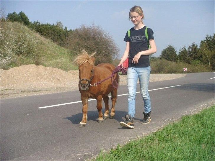 Miniature Minimøjsen Minor <33 - Tur med Signe (dette billede er lagt ind mod Signes vilje) ;-) billede 17