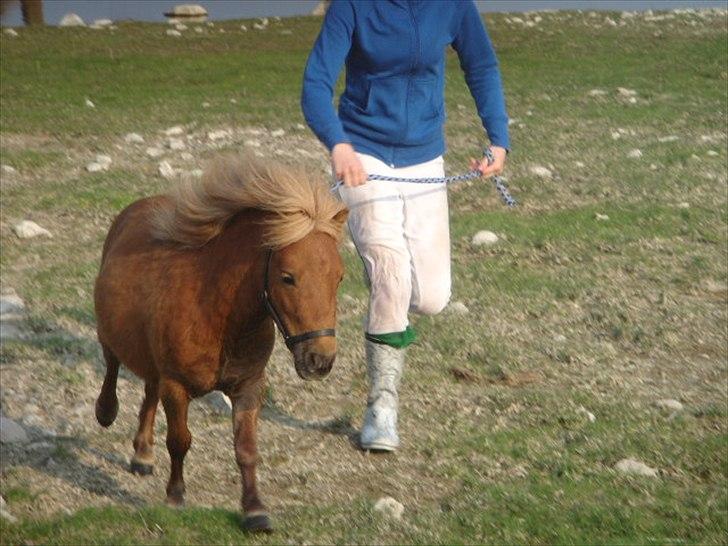 Miniature Minimøjsen Minor <33 - Galip, galop xD  billede 19