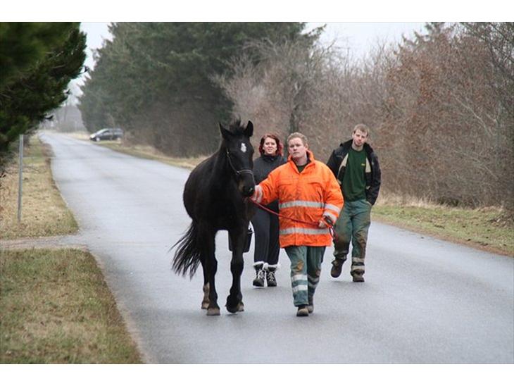 {{currentPhoto.altText}} billede {{currentPhoto.number}}