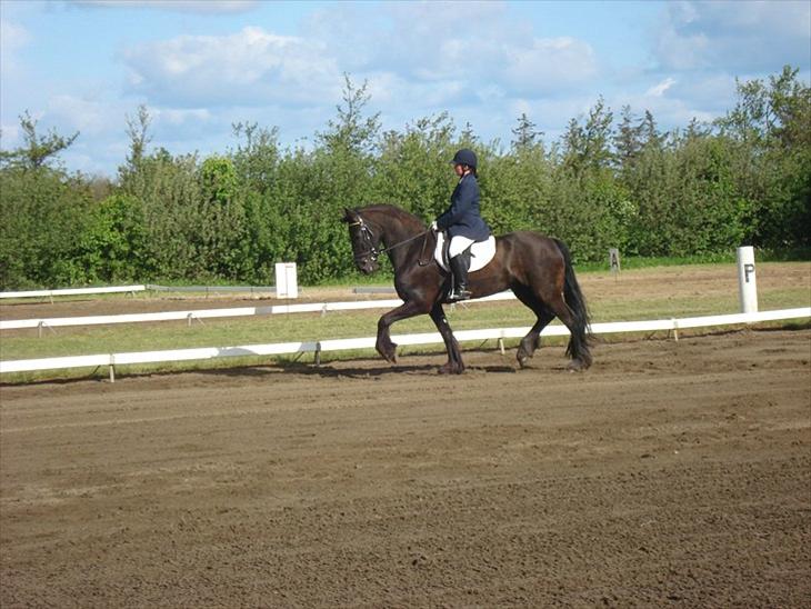 {{currentPhoto.altText}} billede {{currentPhoto.number}}