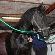 Frieser Antoinette (Part)