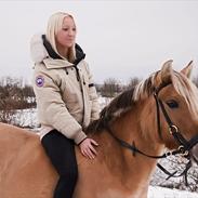 Anden særlig race Daisy.