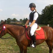 Anden særlig race Scarlet