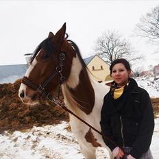 Anden særlig race Morning Surprise. Xpart.