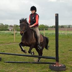 Anden særlig race Mr. Winchester- Winni *SOLGT*