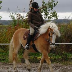 Haflinger Wi-Quartz