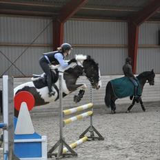 Anden særlig race Jolly Jumper *Gl. Part*