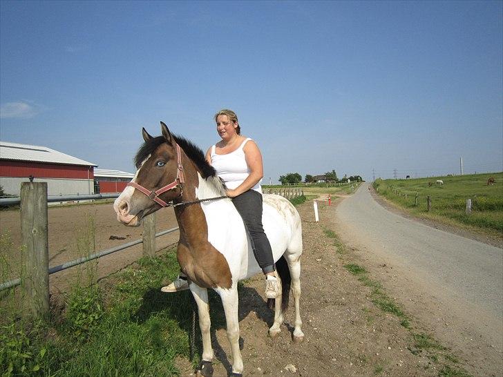 Anden særlig race Ebonys Surprise   (solgt/ R.I.P) billede 9