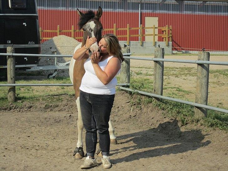 Anden særlig race Ebonys Surprise   (solgt/ R.I.P) billede 10