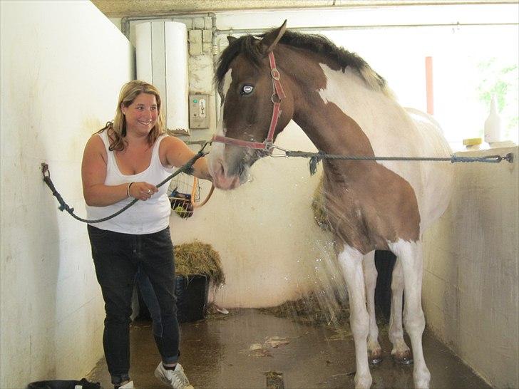 Anden særlig race Ebonys Surprise   (solgt/ R.I.P) billede 14