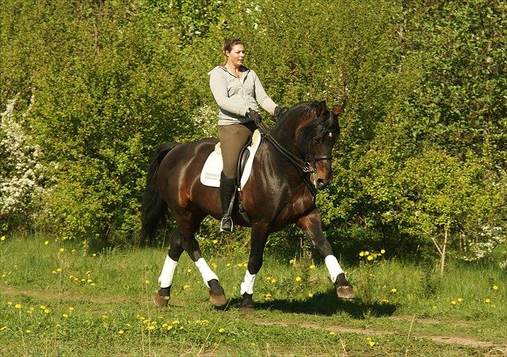 Oldenborg De Nero Af Støvlebæk - Sommer år 2011 billede 4