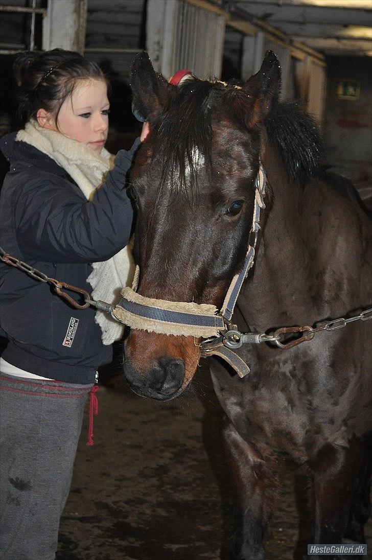 Anden særlig race Dixie - gør os klar til distriks stævne billede 14