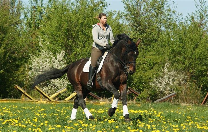 Oldenborg De Nero Af Støvlebæk billede 10