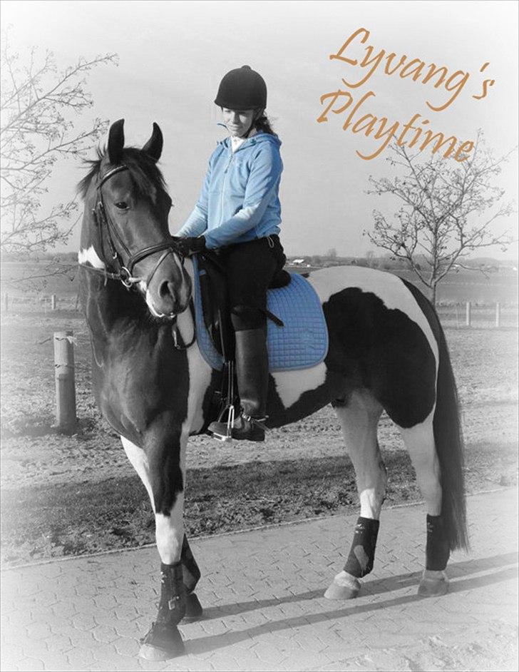 Pinto Lyvang's Playtime R.I.P. billede 15