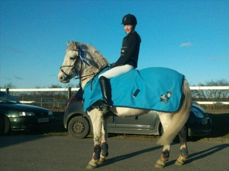 Anden særlig race Viggo - til stævne i revsø, på min fødselsdag! :) fik en anden-plads i Ld´en ;* billede 19