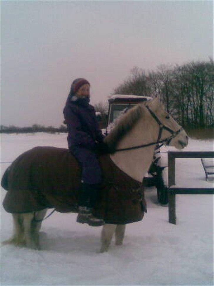 Anden særlig race Viggo - lidt doven har man vel lov til at være??;D hihi, det var skide sjovt! ;))) ;i<3 billede 20