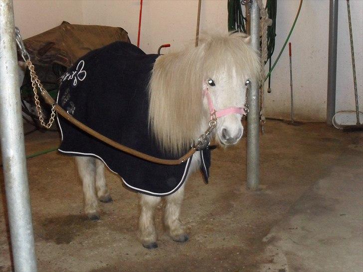 Miniature Emma Bredager billede 13