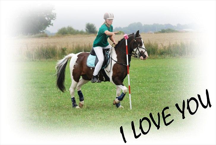 Anden særlig race Søndergårdens Negro billede 8