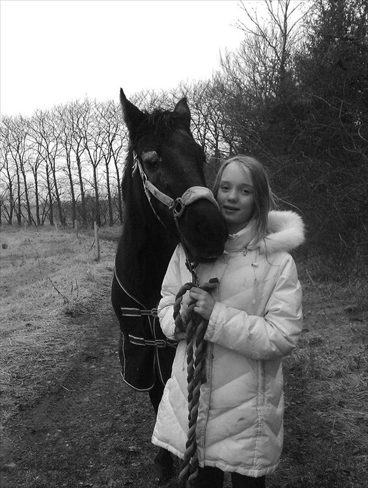 New Forest Kimberly |Prinsesse| billede 2