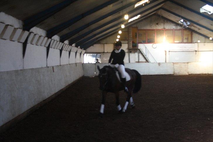 Anden særlig race Rea - Stævne på ROAR D.10/10-2010 billede 18