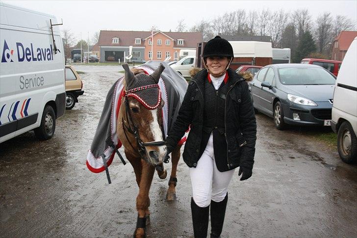 Anden særlig race Vestergårds La Chanta   - Sidste stævne på La Chanta... Gik nul i begge klasser med 2 anden pladser. <3 Jeg elsker dig La Chanta billede 16