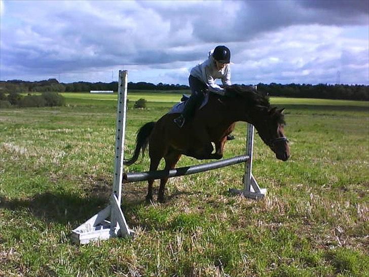 Anden særlig race Flika billede 1