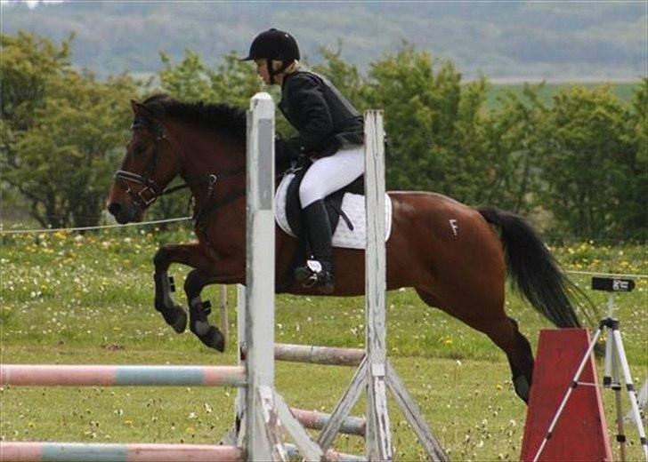 Anden særlig race Flika billede 10