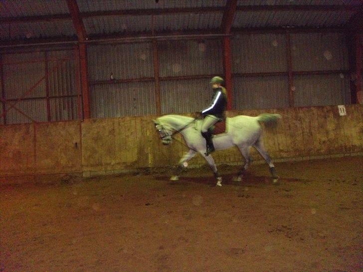 Arabisk fuldblod (OX) IS Anushka OX - Ved godt billedet er lidt uskarpt, men syntes hun går ret godt (: billede 10