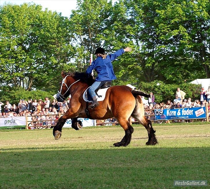 Belgier Toftegaards Frida billede 1