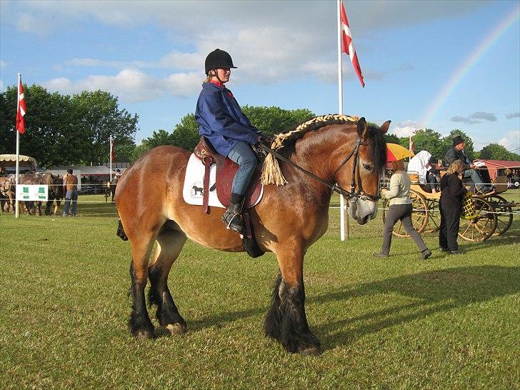 Belgier Toftegaards Frida billede 10