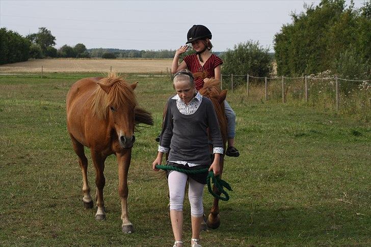 Islænder Snekkja (R.I.P) - cecilie og mig  billede 4