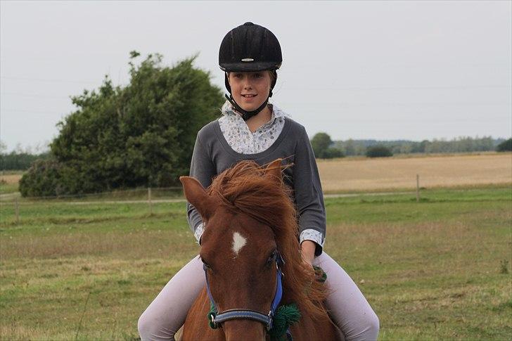 Islænder Snekkja (R.I.P) - mig billede 5