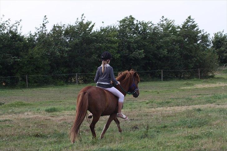 Islænder Snekkja (R.I.P) - mig billede 6