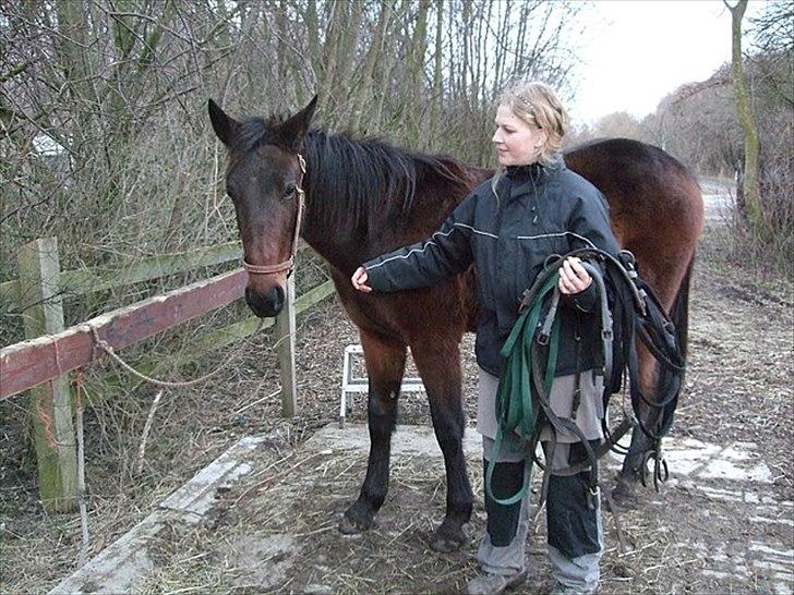 Traver Silke EC billede 2