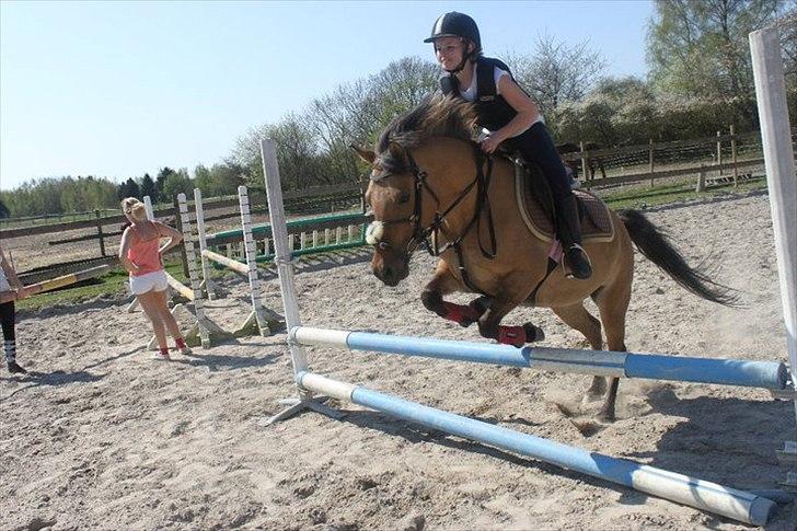 Anden særlig race Smukke Pocahontas!<3 - <3 !! billede 12