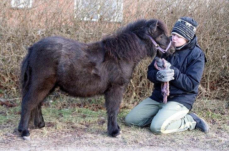 Belgisk Miniature RKG Moons Happy Miracle - d. 15 feb 2011 - lidt små rund.  billede 19