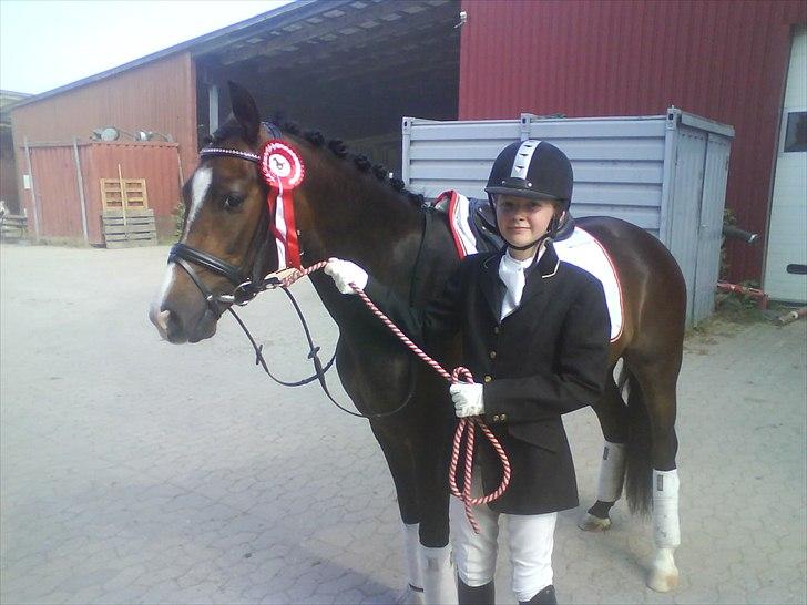 New Forest Romeos Geiger - Vores første stævne som vi vandt med 76% :) billede 5