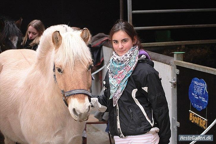 Fjordhest  Bjarke<3 | My life<3 <3  - 20) Pony og jeg i stalden :D <3 [foto Natasa meed STL´s kamaer] <3 billede 16