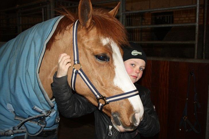 New Forest Sdr. Dams Karina - Jeg er så glad for dig! min lille prinsesse <3 billede 2