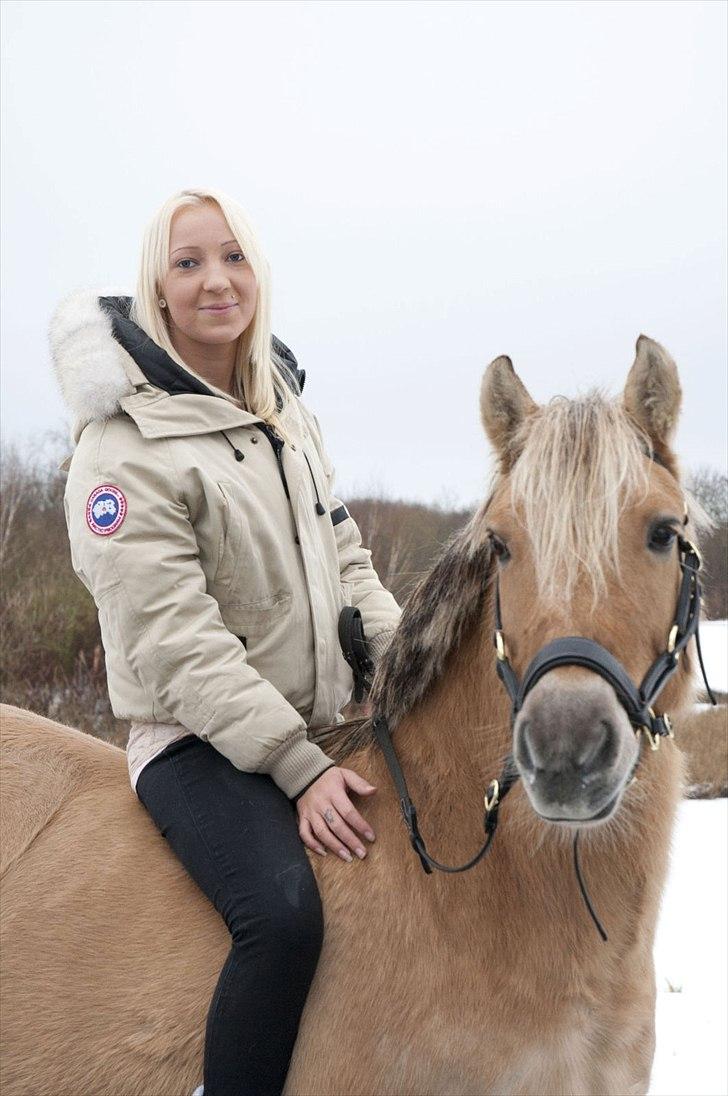 Anden særlig race Daisy. billede 1