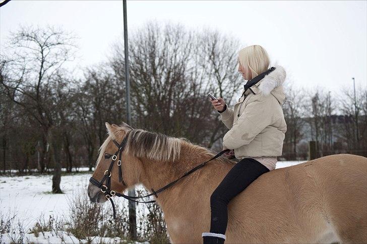 Anden særlig race Daisy. - så afslappede er vi :-p.. at jeg kan sidde og sms´e imens. billede 6