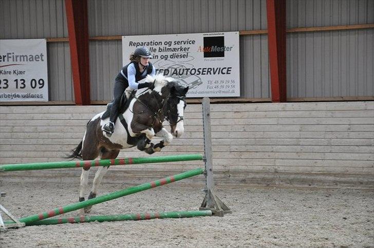 Anden særlig race Jolly Jumper *Gl. Part* billede 1